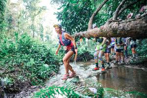 BIB: 
                            <button type="button" onclick="openModal(25454891)" class="btn btn-primary btn-sm float-right btn-popup" data-toggle="modal" data-target=".modal-high-quality">
                        <i class="fas fa-shopping-cart"></i> Add to Cart
                    </button>
                                            <button type="button" onclick="isThisMe(25454891, true)" class="btn btn-success btn-sm float-right btn-popup btn-isme hidden" data-toggle="tooltip" data-placement="bottom" title="นี่คือรูปของคุณใช่ไหม คลิกที่นี่เพื่อเอาเข้าอัลบั้ม">
                        <i class="fas fa-plus"></i> Add to album
                    </button>
                    <button type="button" onclick="isThisMe(25454891, false)" class="btn btn-warning btn-sm float-right btn-popup btn-isnotme hidden">
                        <i class="fas fa-ban"></i> Remove from album
                    </button>